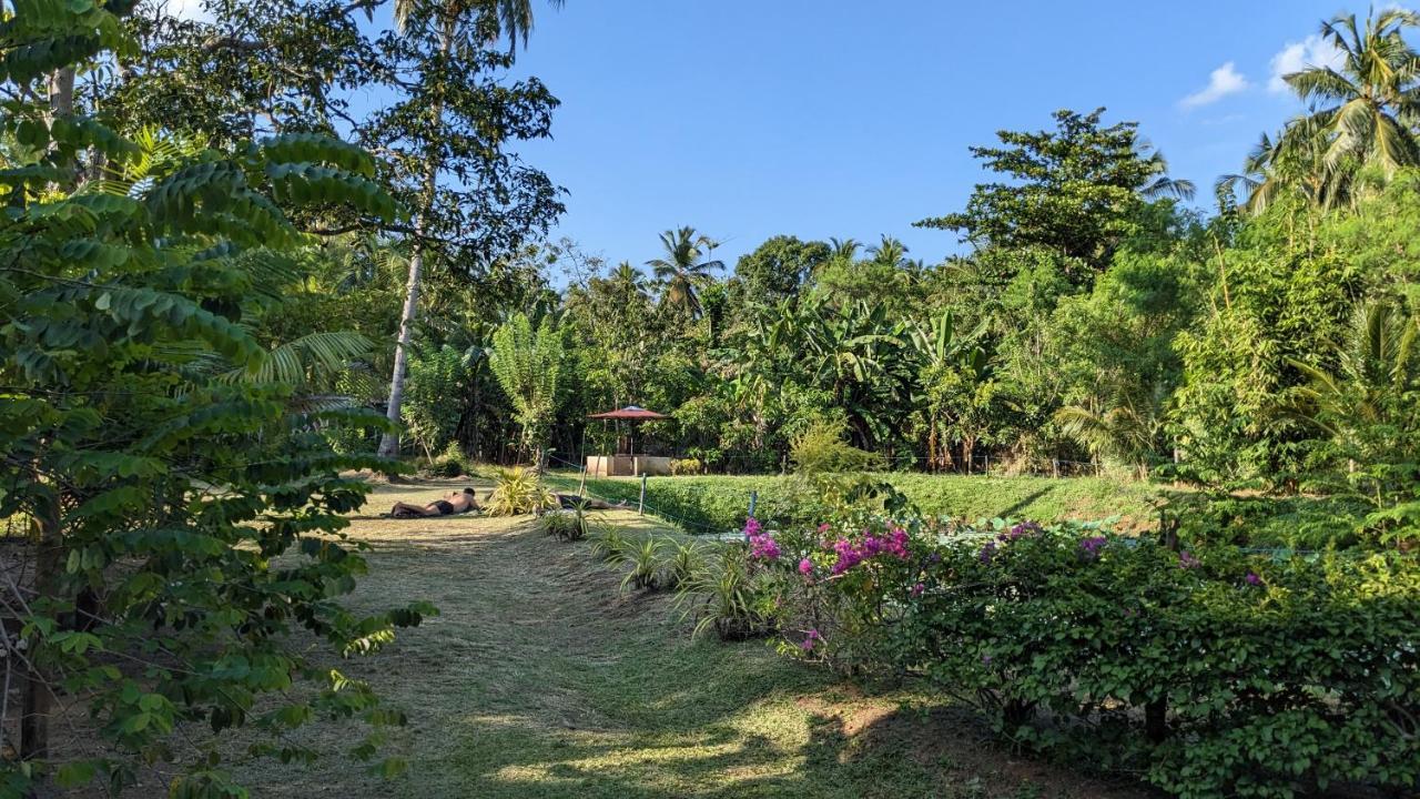 Hotel Avian Garden Udawalawe Esterno foto