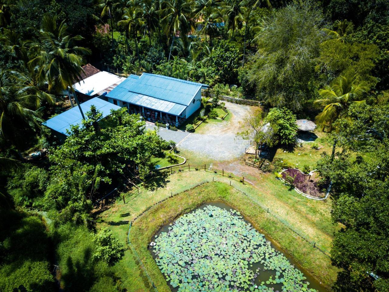 Hotel Avian Garden Udawalawe Esterno foto